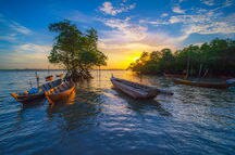 The Sampan, Batam Island The Sampan, Batam Island